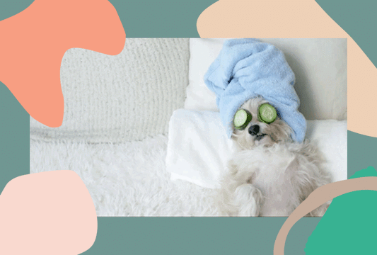 MASKING FOR EVERY PART OF YOUR BOD