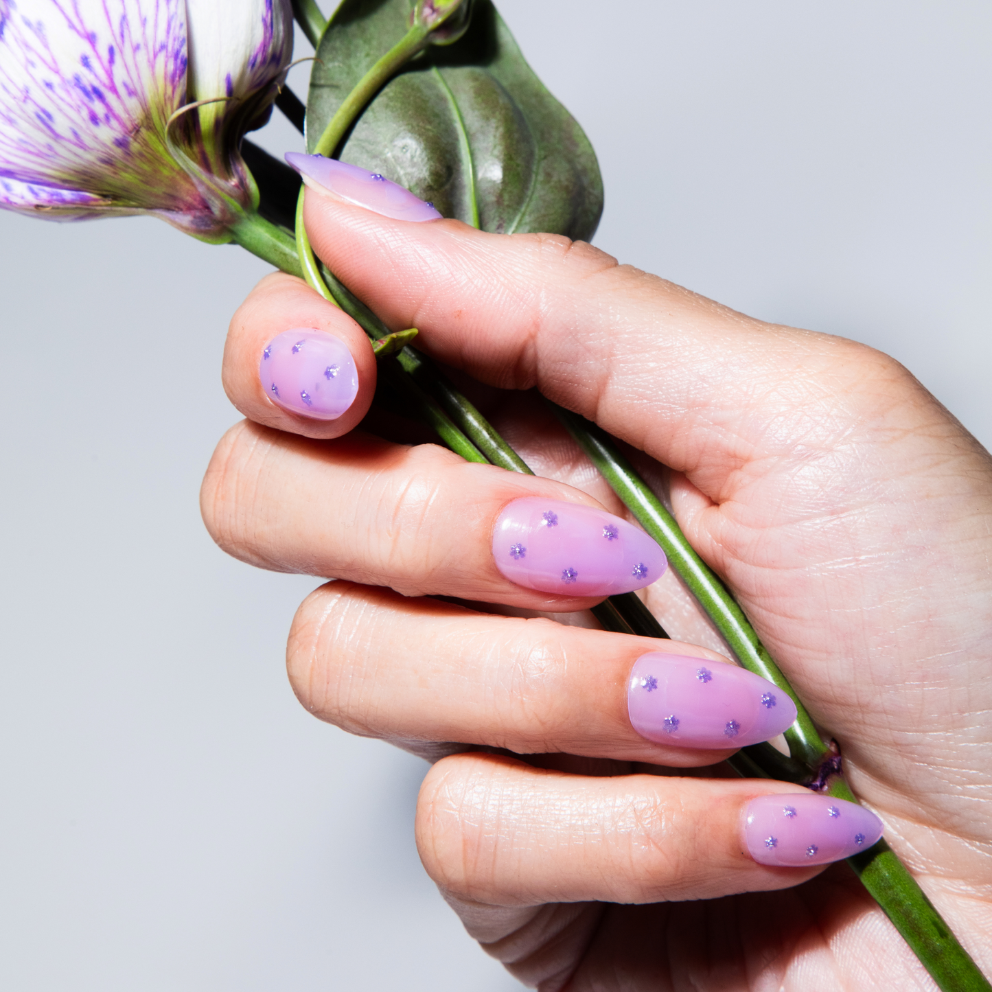 Fifi La Fleur