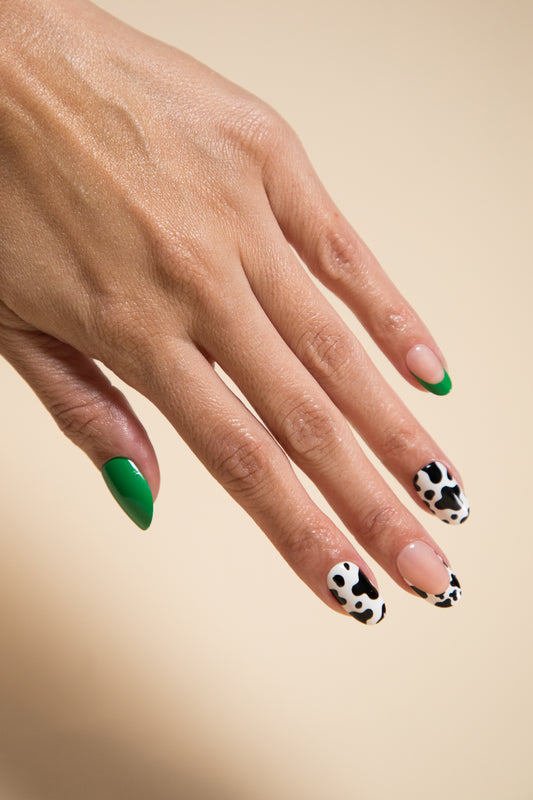 Big Vibrant Energy Bundle