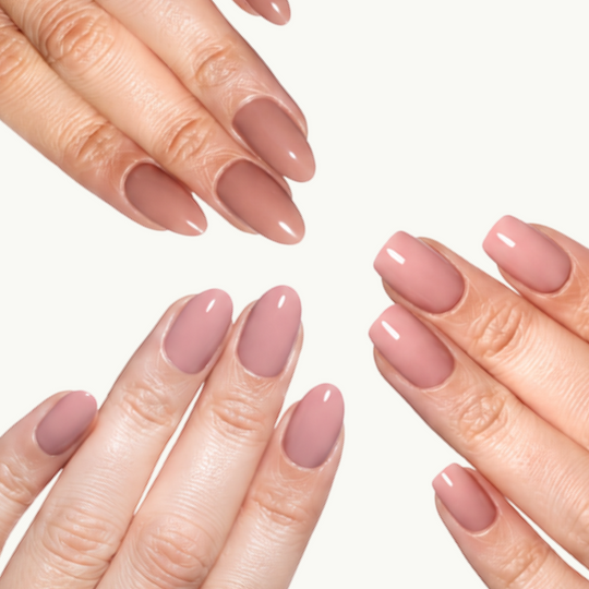 Neutrals Bundle