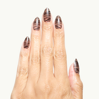La Zebra Notte
